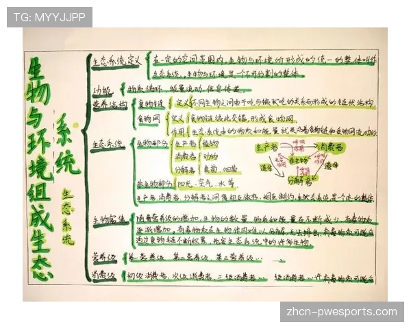 生态系统思维构建合作伙伴共赢的价值网络